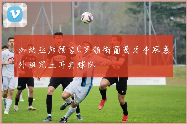 加纳巫师预言C罗领衔葡萄牙夺冠意外诅咒土耳其球队