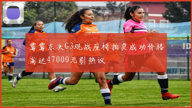 霉霉东决G3观战座椅拍卖成功价格高达47000元引热议