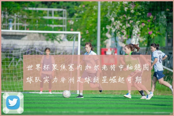 世界杯聚焦塞内加尔老将中轴稳固球队实力非洲足球新星崛起可期