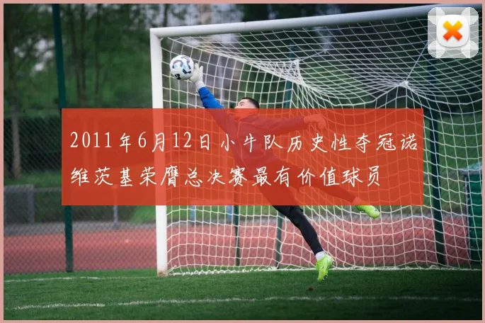 2011年6月12日小牛队历史性夺冠诺维茨基荣膺总决赛最有价值球员